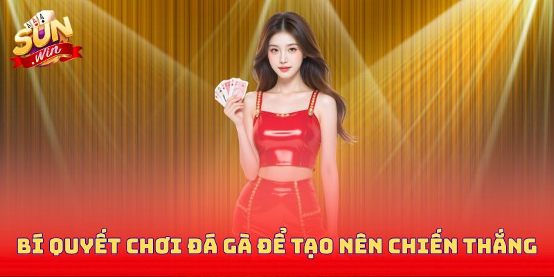 Bí quyết chơi đá gà để tạo nên chiến thắng