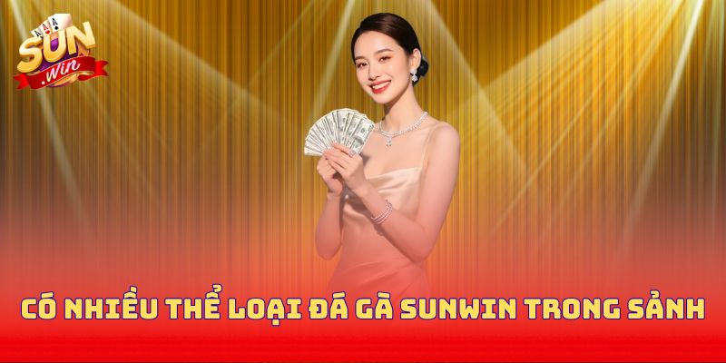 Có nhiều thể loại đá gà Sunwin trong sảnh