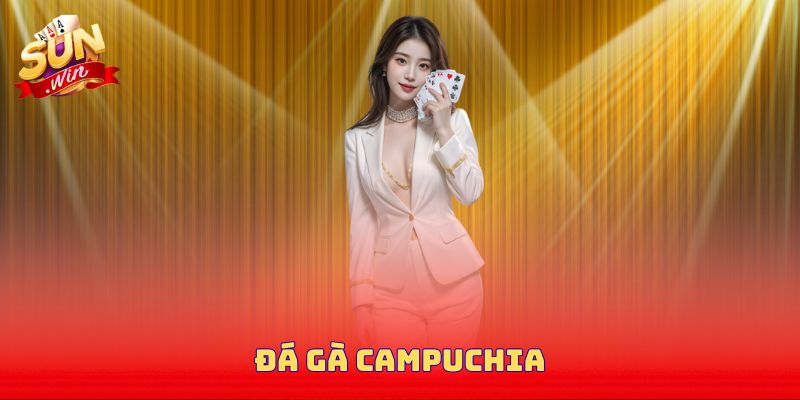 Đá gà Campuchia - Cược Kịch Tính Và Minh Bạch Cho Hội Viên