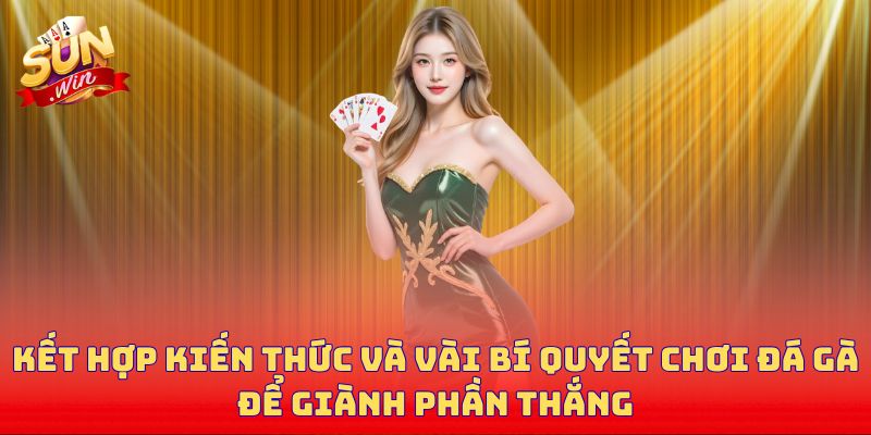 Kết hợp kiến thức và vài bí quyết chơi đá gà để giành phần thắng
