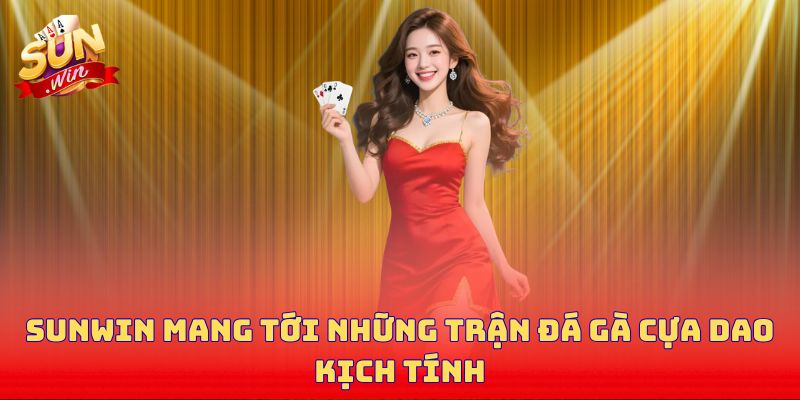 Sunwin mang tới những trận đá gà cựa dao kịch tính