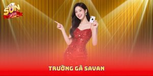 Trường Gà Savan - Tổng Hợp Các Bộ Môn Hấp Dẫn Đáng Thử